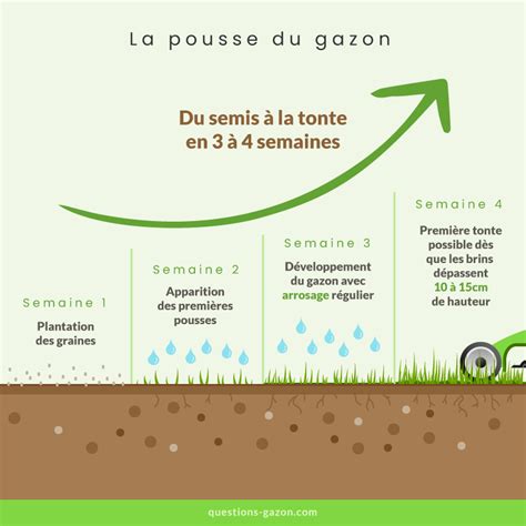Schéma illustrant la croissance du gazon en fonction de la température du sol