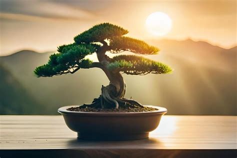 Fenêtre ensoleillée avec un bonsaï Sageretia