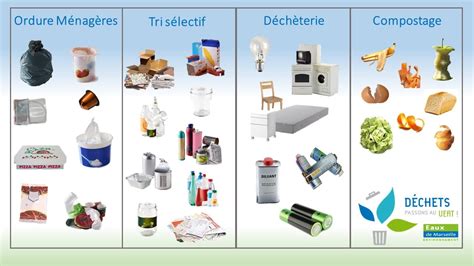 Illustration de divers types de déchets organiques