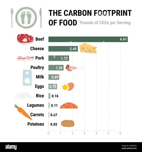 Infographie sur l'empreinte carbone des aliments