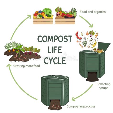 Schéma équilibre matières compost