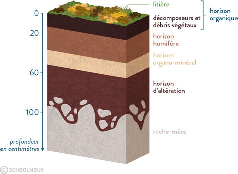 Schéma illustrant les couches d'un paillage minéral : sol, géotextile, matériau minéral