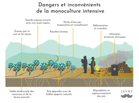 Comparaison entre une monoculture de fruitiers et une haie diversifiée
