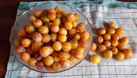 Bol de mirabelles fraîches