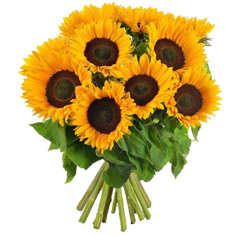 Bouquet de tournesols