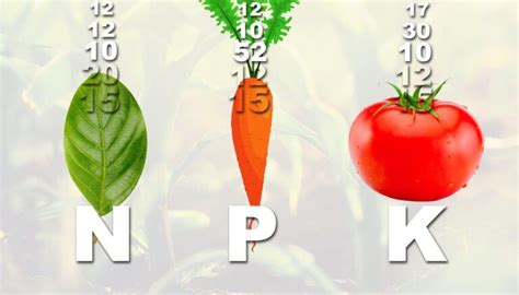 Diagramme comparatif NPK Guanor 7.6.8 vs Guanor 3.6.12