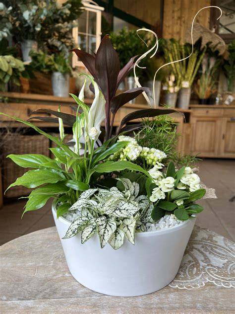 composition florale de plantes d'ombre