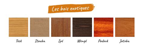 Comparaison des différentes essences de bois exotiques