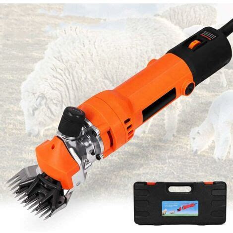 Outils de tonte professionnels pour ovins