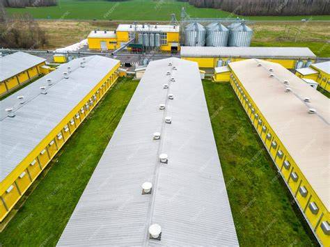 Vue aérienne d'un complexe industriel de transformation de volailles moderne et automatisé