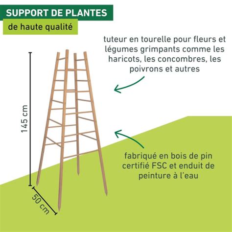 Photo montrant l'évolution d'un tuteur en bois au fil des saisons
