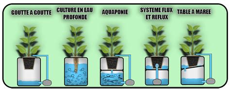 Infographie comparant les systèmes de culture en terre et hydroponique
