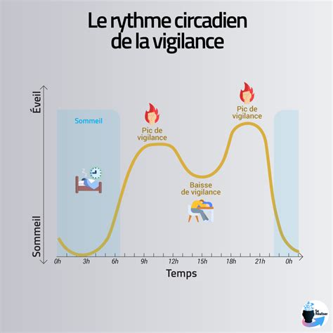 Schéma illustrant le cycle circadien chez l'enfant et les pics de vigilance
