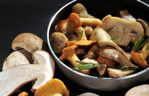 Illustration d'une poêlée de champignons sauvages fraîchement cueillis