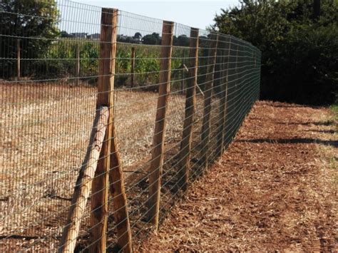 Photo d'un kit de clôture avec grillage et piquets en bois installés