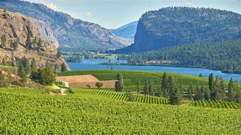 Paysage de la vallée de l'Okanagan avec ses vergers et ses lacs