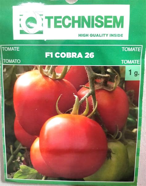 schéma comparatif entre semences hybrides F1 et semences paysannes reproductibles