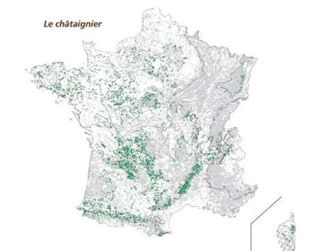 Carte de répartition du châtaignier en France