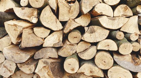 Infographie sur les différents types de bois de chauffage et leurs temps de séchage