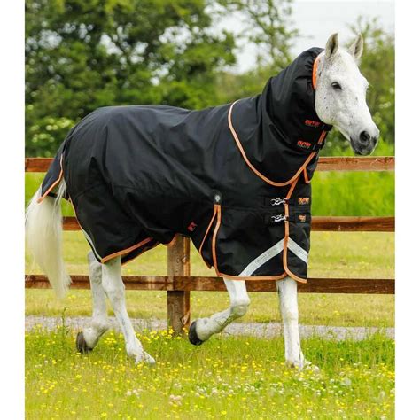 Cheval tondu avec une couverture