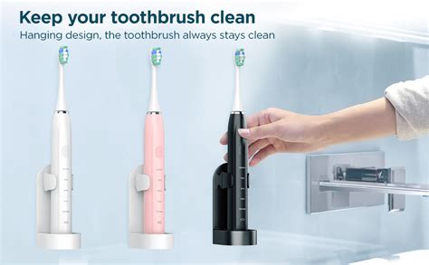 Désensibilisation du cheval avec une brosse à dents électrique