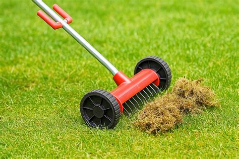 Outils d'aération et de scarification pour pelouse