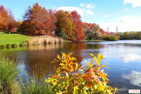 Étang de la Minière en automne