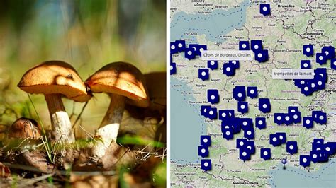 carte des meilleurs spots de cueillette de champignons en France