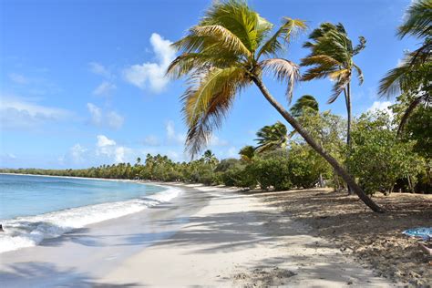 Plage des Salines, Martinique