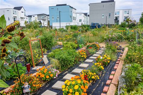 Urban community garden design