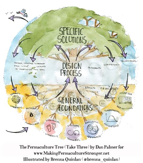 Diagram showing permaculture principles