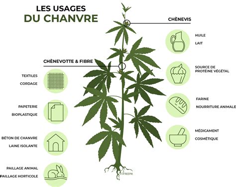 Produits dérivés du chanvre
