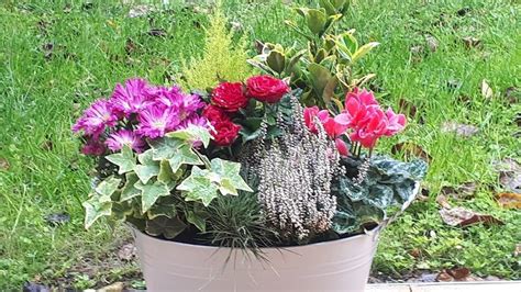 Jardinière d'automne colorée