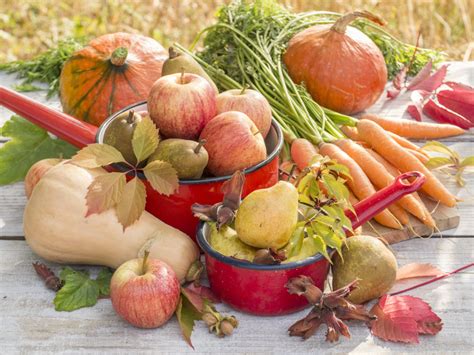 légumes récolte automne