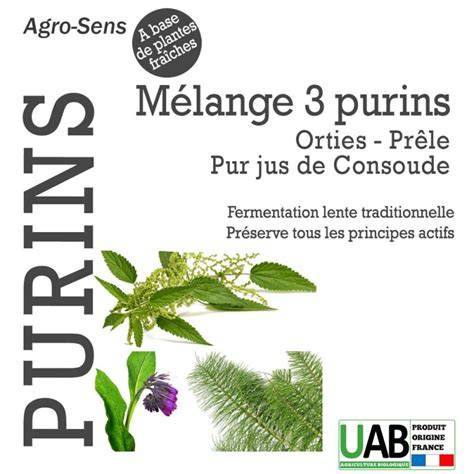 Schéma comparatif des purins d'ortie et de consoude
