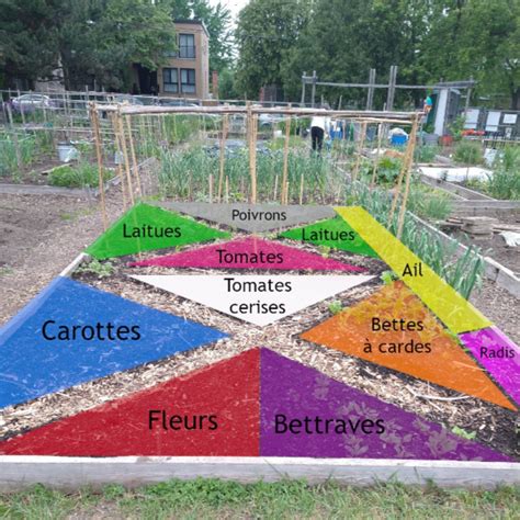 Exemple de potager en mandala avec associations de cultures