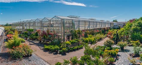 Serres horticoles à Lanmeur