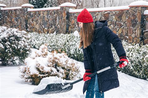Préparation du jardin pour l'hiver