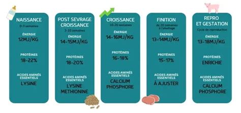 Schéma des besoins nutritionnels de la tomate au fil des saisons
