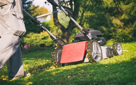 personne broyant des feuilles avec une tondeuse