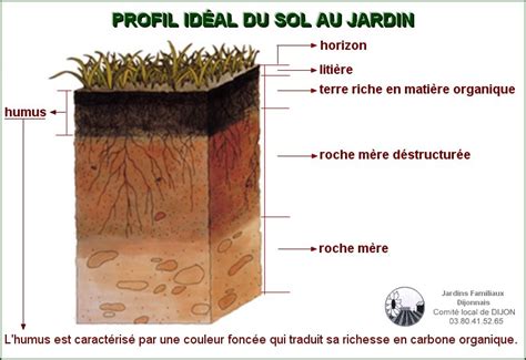 Schéma explicatif de la structure d'un sol bien ameubli pour le potager
