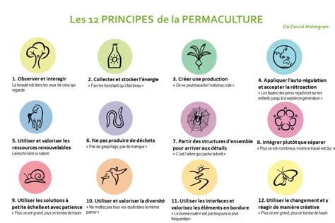 schéma principes permaculture