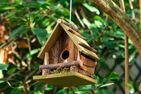nichoir oiseaux jardin