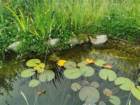 microclimat jardin