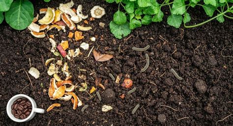 Infographie comparant le compostage de surface et le compostage en tas en silo