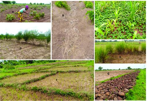Schéma explicatif de la gestion durable des terres agricoles