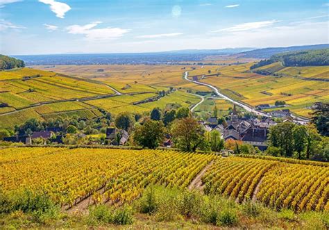 Paysage de la Côte de Beaune avec vignes