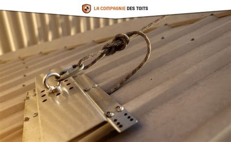 Schéma illustrant les points d'ancrage et la disposition des cordes