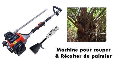 Illustration d'un joueur utilisant un outil de récolte dans Guild Wars 2