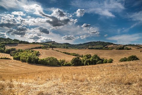 Paysage agricole Corse